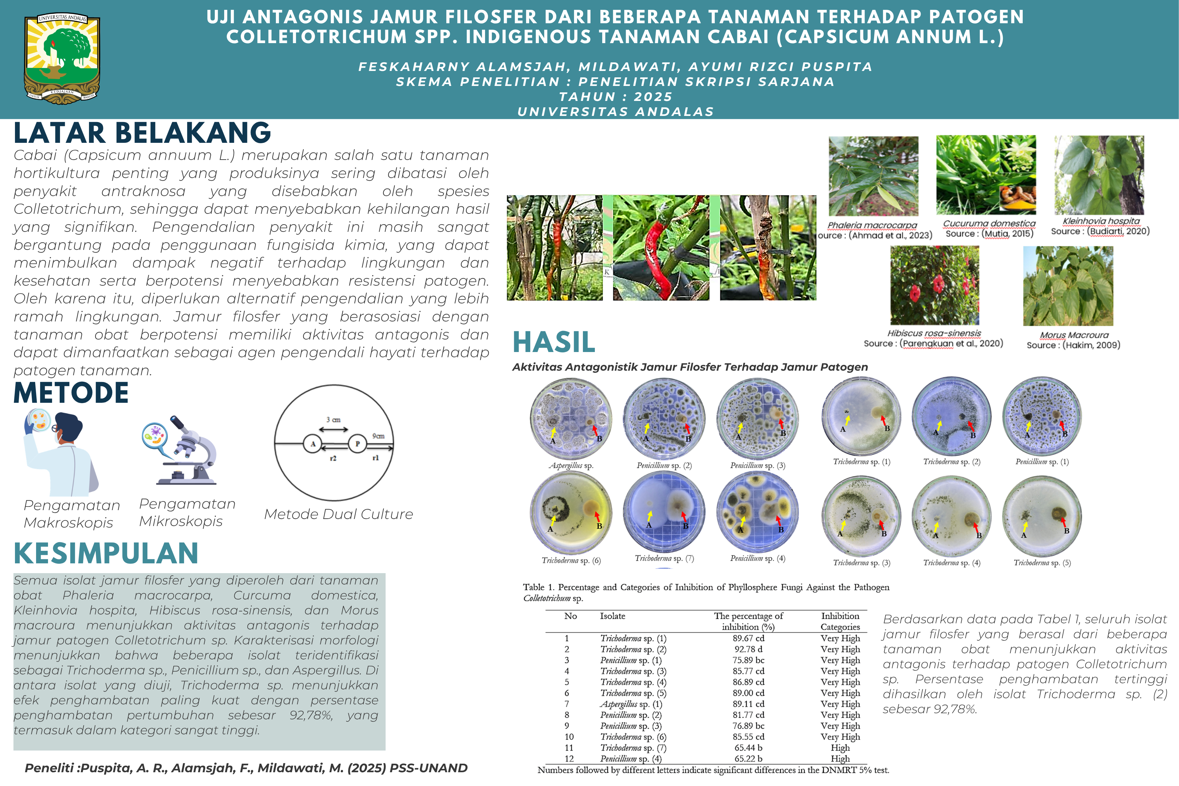 Uji Antagonis Jamur Filosfer dari Beberapa Tanaman terhadap Patogen Colletotrichum spp. Indigenous Tanaman Cabai (Capsicum annum L.)